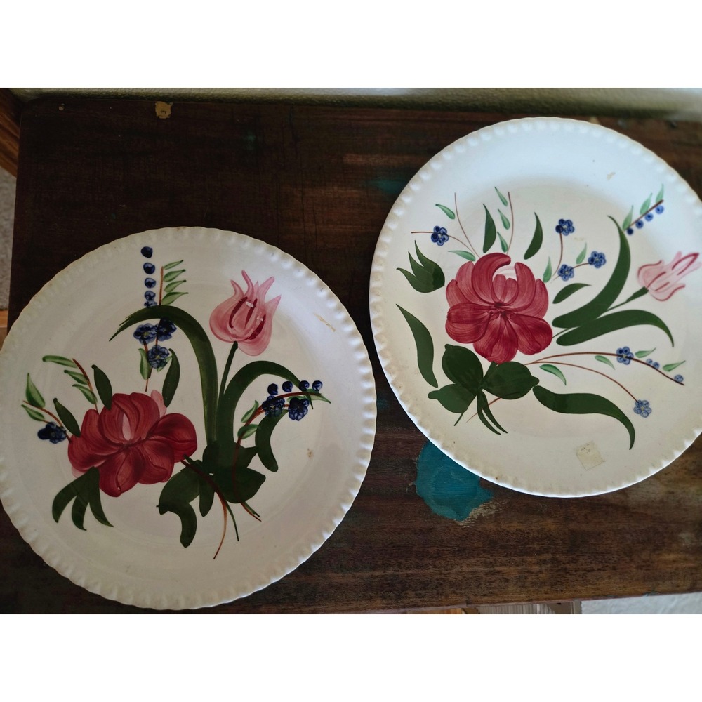 Blue Ridge Southern Potteries Bluebell Dinner Plates Set of 2 USA